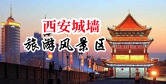 美女自慰扣逼中国陕西-西安城墙旅游风景区